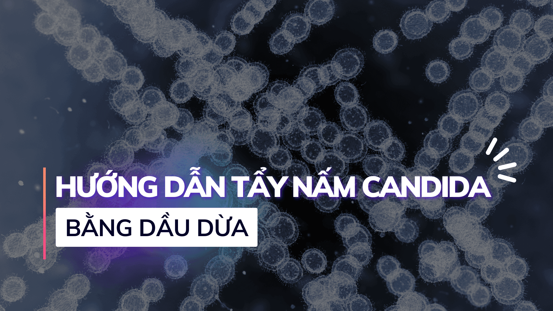 Hướng dẫn tẩy nấm candida bằng dầu dừa